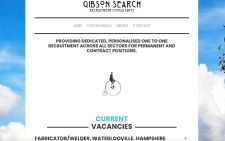Gibson Search